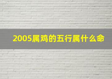 2005属鸡的五行属什么命