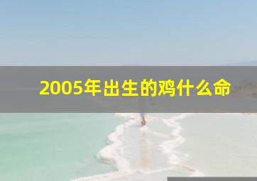 2005年出生的鸡什么命