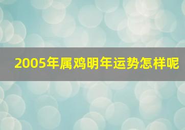 2005年属鸡明年运势怎样呢