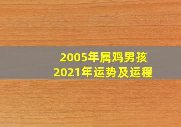 2005年属鸡男孩2021年运势及运程