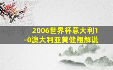 2006世界杯意大利1-0澳大利亚黄健翔解说