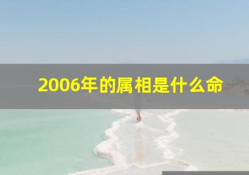 2006年的属相是什么命