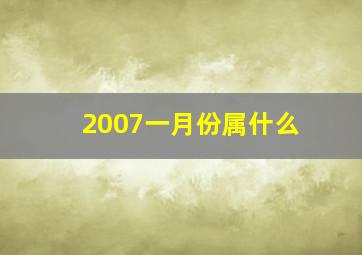 2007一月份属什么