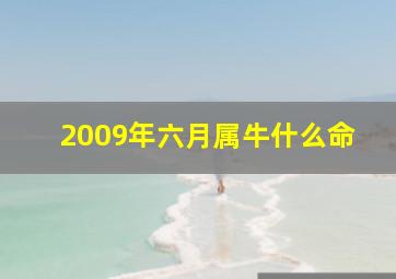 2009年六月属牛什么命