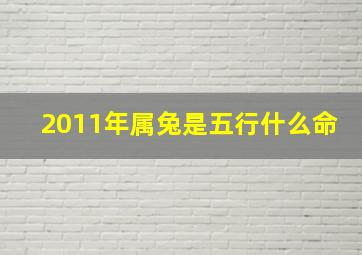 2011年属兔是五行什么命