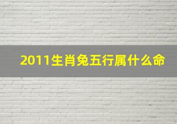 2011生肖兔五行属什么命