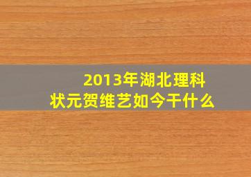 2013年湖北理科状元贺维艺如今干什么