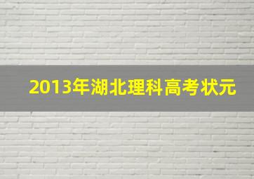 2013年湖北理科高考状元