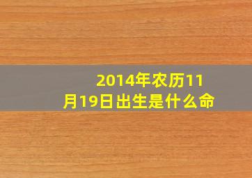 2014年农历11月19日出生是什么命