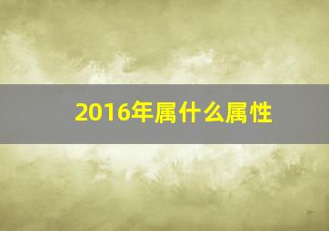 2016年属什么属性