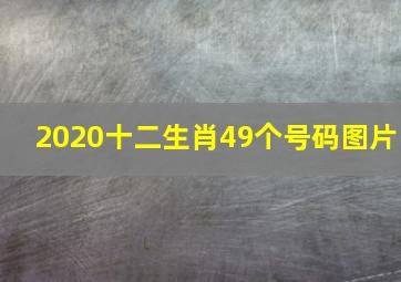 2020十二生肖49个号码图片