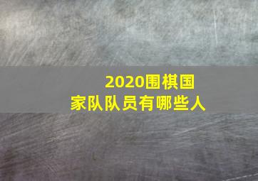 2020围棋国家队队员有哪些人