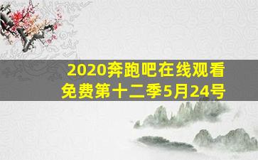 2020奔跑吧在线观看免费第十二季5月24号