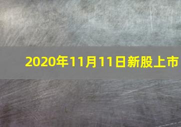 2020年11月11日新股上市