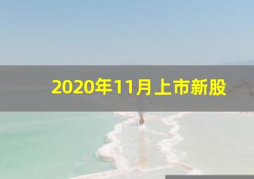 2020年11月上市新股