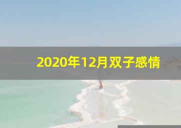 2020年12月双子感情