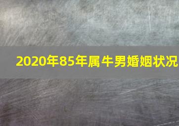 2020年85年属牛男婚姻状况