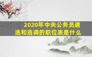 2020年中央公务员遴选和选调的职位表是什么