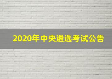 2020年中央遴选考试公告