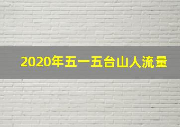 2020年五一五台山人流量