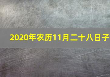 2020年农历11月二十八日子