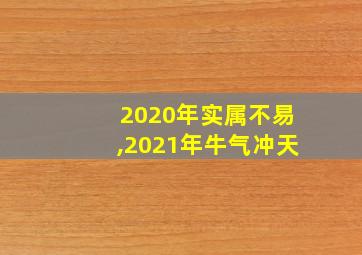 2020年实属不易,2021年牛气冲天