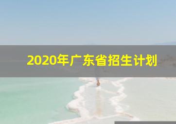 2020年广东省招生计划