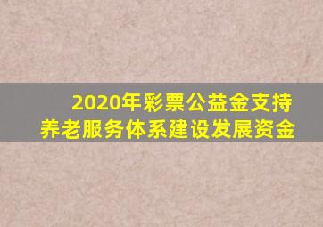 2020年彩票公益金支持养老服务体系建设发展资金