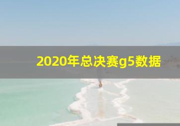 2020年总决赛g5数据