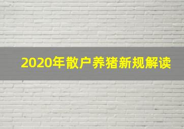 2020年散户养猪新规解读