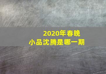 2020年春晚小品沈腾是哪一期