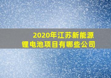 2020年江苏新能源锂电池项目有哪些公司