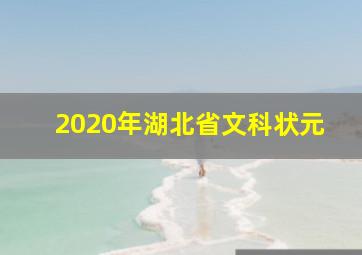 2020年湖北省文科状元