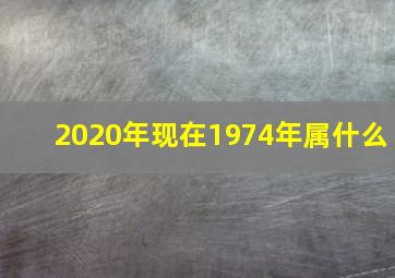 2020年现在1974年属什么