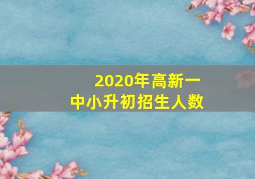 2020年高新一中小升初招生人数