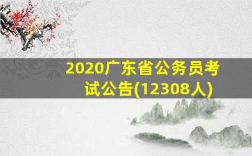 2020广东省公务员考试公告(12308人)