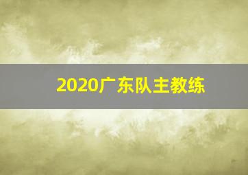 2020广东队主教练