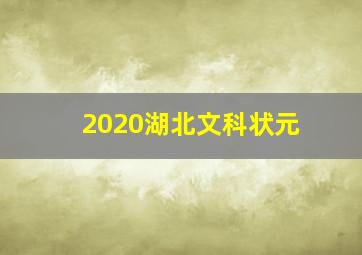 2020湖北文科状元