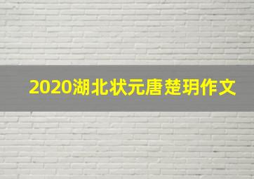 2020湖北状元唐楚玥作文