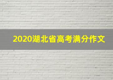 2020湖北省高考满分作文