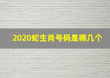 2020蛇生肖号码是哪几个