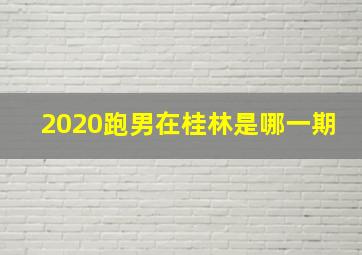 2020跑男在桂林是哪一期