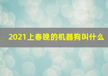 2021上春晚的机器狗叫什么