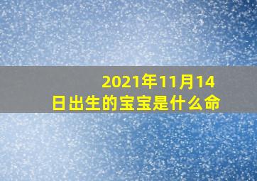 2021年11月14日出生的宝宝是什么命