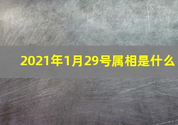 2021年1月29号属相是什么