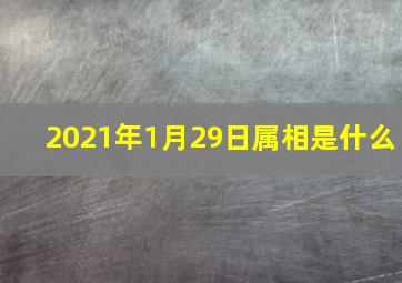 2021年1月29日属相是什么