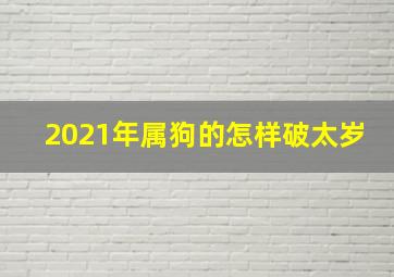 2021年属狗的怎样破太岁