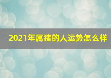 2021年属猪的人运势怎么样