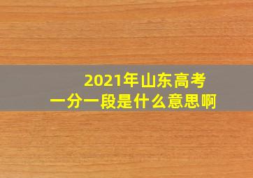 2021年山东高考一分一段是什么意思啊