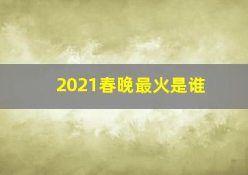 2021春晚最火是谁